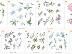 9组 鲜花和树枝树叶水彩设计矢量插图Flowers and twigs with leaves