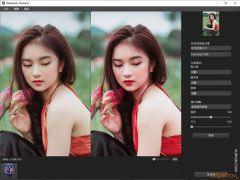 简易胶片模拟色彩渲染软件WidsMob FilmPack 2021 v1.2.0.86中文版