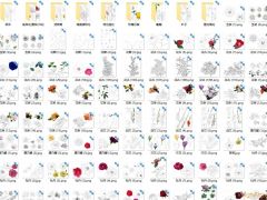 355张各类花卉线稿+上色图片参考素材