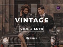 36个复古图片视频LUTs预设Bangset Vintage Video LUTs