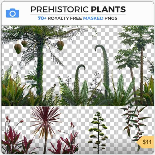 71高清史前植物透明PNG图片素材集Prehistoric Plants