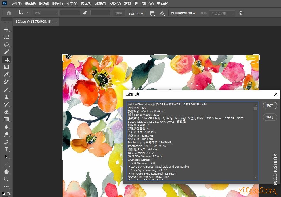 软件下载-Adobe Photoshop 2024 25.9.0.2603 Beta x64(4)