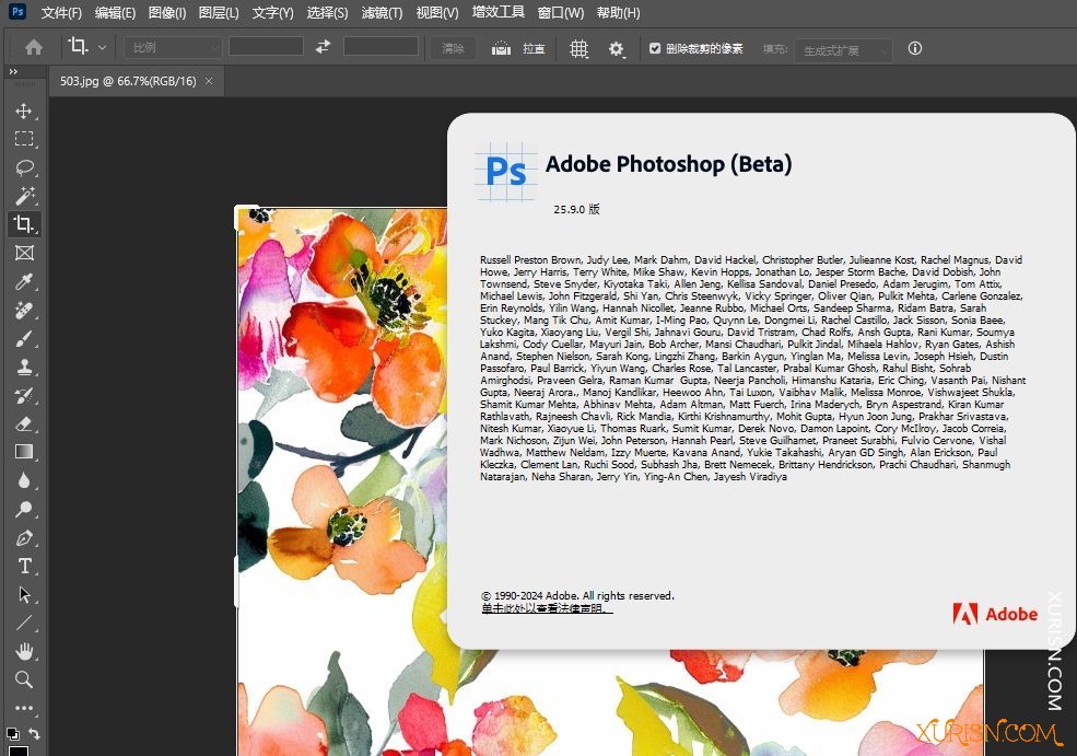 软件下载-Adobe Photoshop 2024 25.9.0.2603 Beta x64(5)