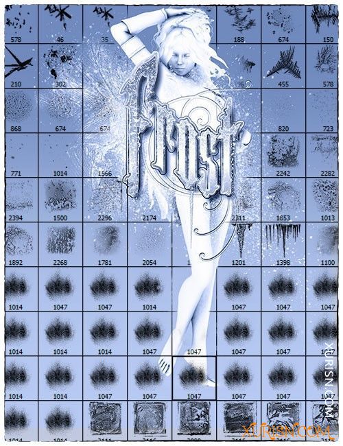 动作预设-120个高分辨率Photoshop美丽的冰晶和清晨霜冻画笔Ron's Frost(13)